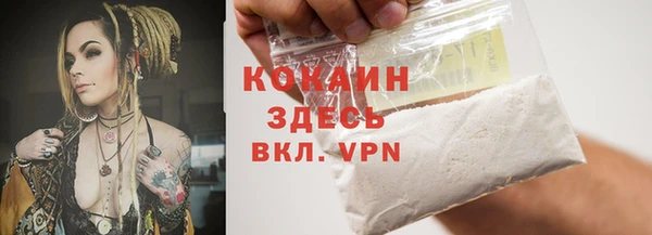 шишки Краснослободск