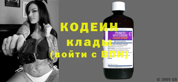 шишки Краснослободск