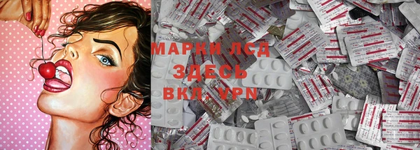 шишки Краснослободск
